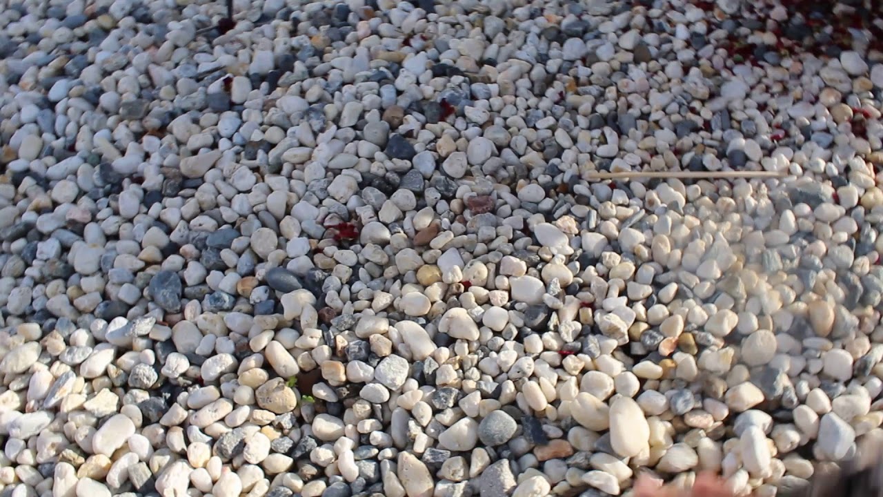 How to Choose the Right White Landscaping Rock in Bulk